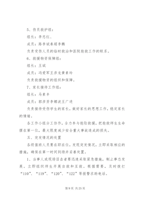 大型集会应急预案.docx