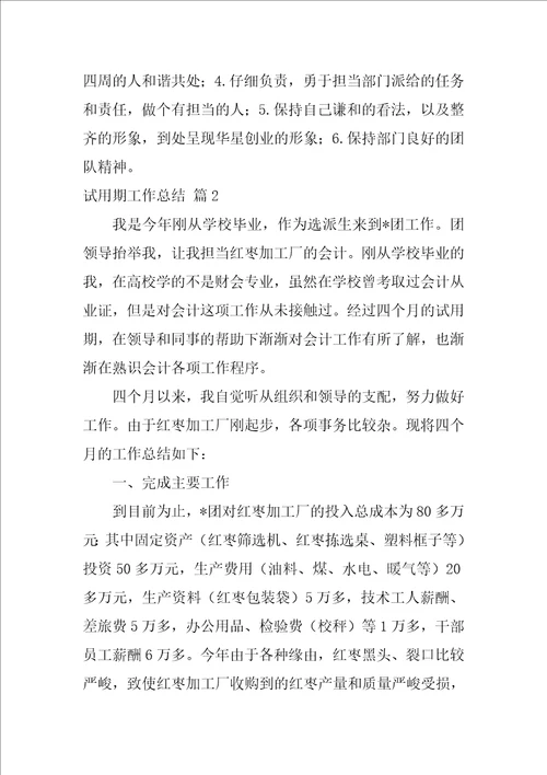 试用期工作总结模板集合九篇