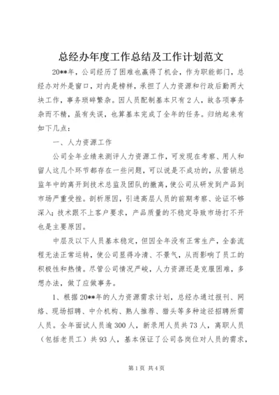 总经办年度工作总结及工作计划范文.docx