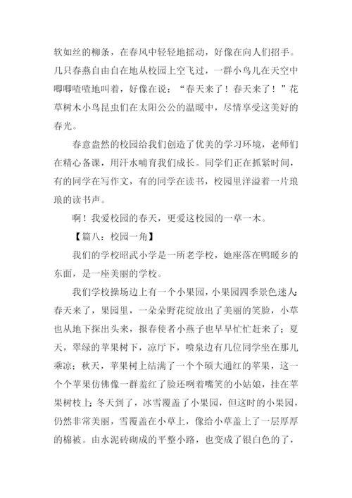 校园一角作文500字-1.docx