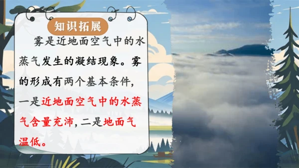 20 雾在哪里   课件