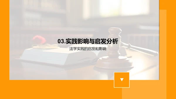 法学实践深度解析