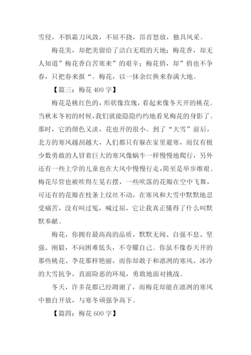 梅花的作文0.docx