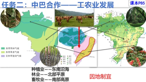 9.2 巴西（课件21张）-七年级地理下册（人教版）