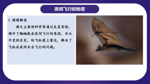 统编版语文四年级上册第二单元（复习课件）