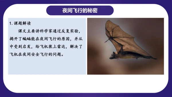 统编版语文四年级上册第二单元（复习课件）