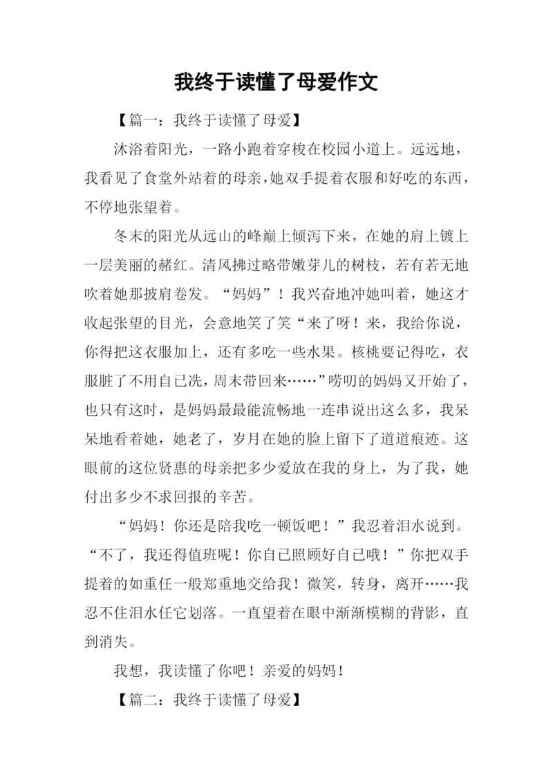 我终于读懂了母爱作文.docx