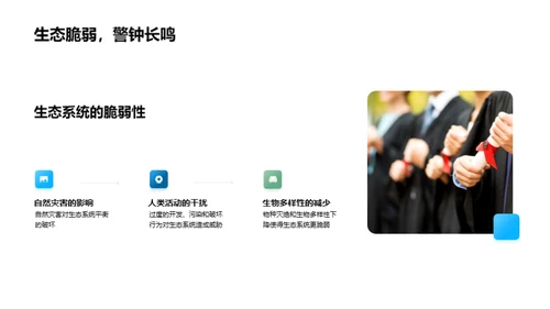 探索生态系统