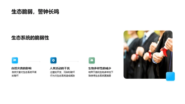 探索生态系统