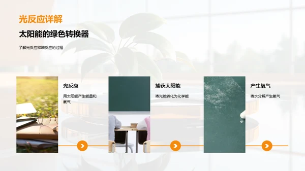 绿色能源之源