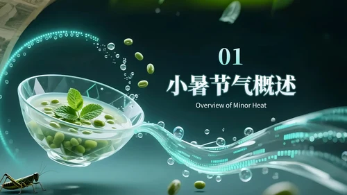 绿色创意风小暑节气讲解节气知识PPT模板