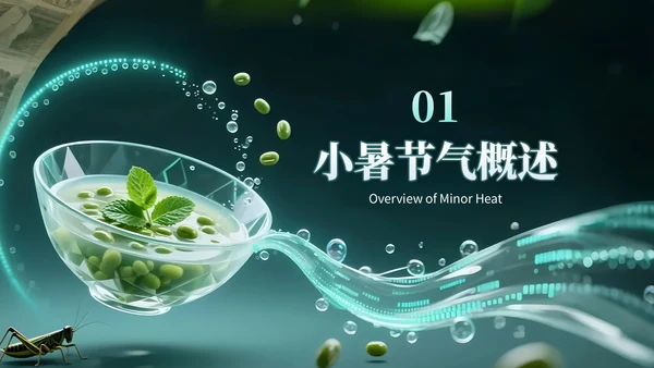 绿色创意风小暑节气讲解节气知识PPT模板