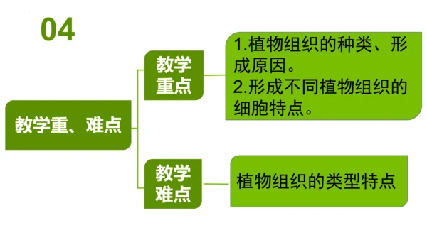 2.2.3植物体的结构层次 【说课课件】2023--2024学年人教版生物七年级上册(共42张PPT