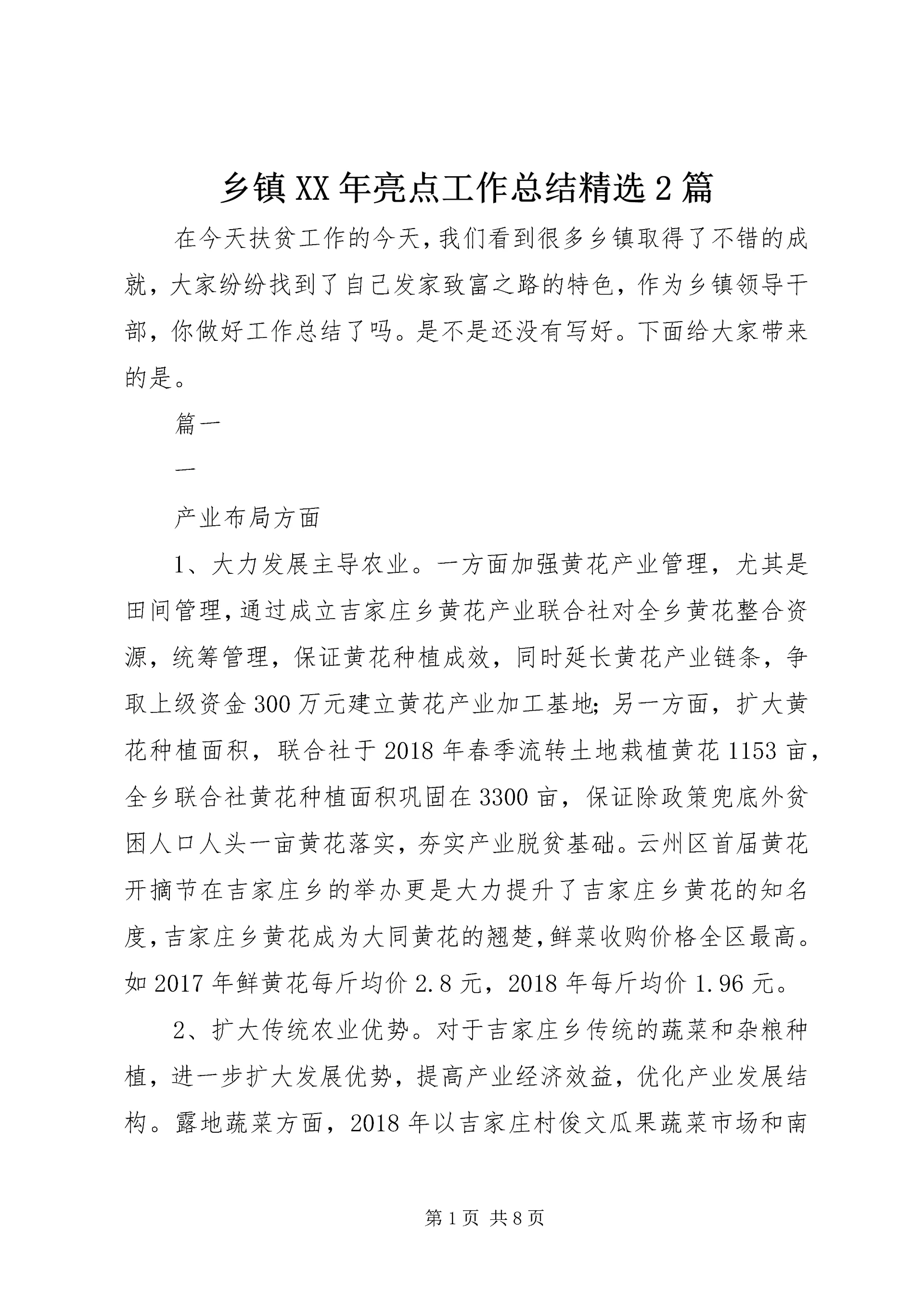 乡镇某年亮点工作总结精选2篇.docx