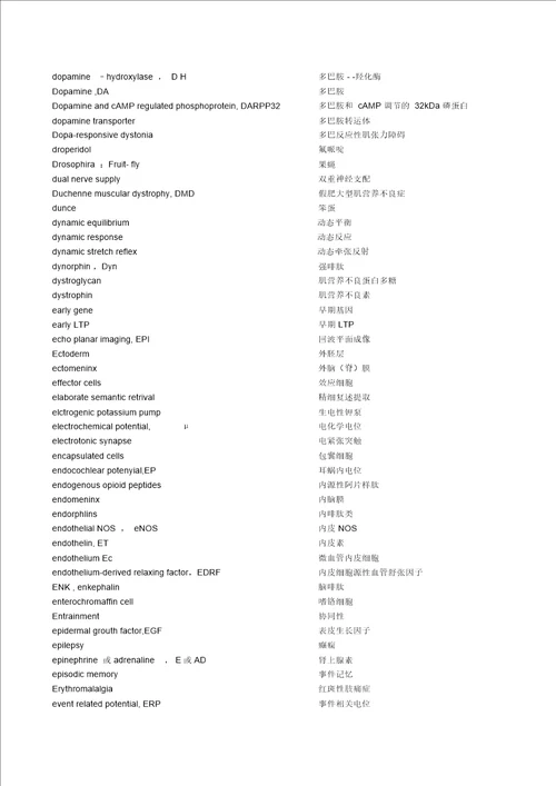 神经科学中英文词汇