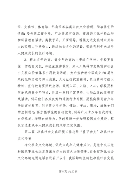 关于推进净化社会文化环境工作的思考.docx