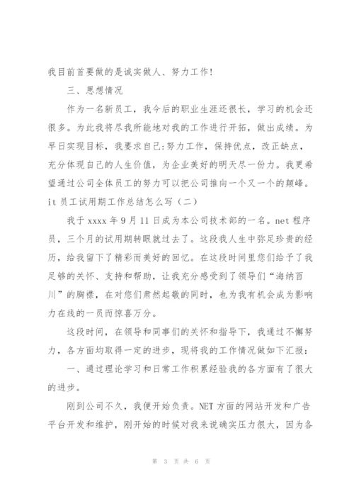 it员工试用期工作总结怎么写.docx