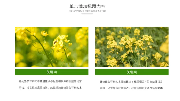春天乡村旅游油菜花风景油菜花田PPT模板