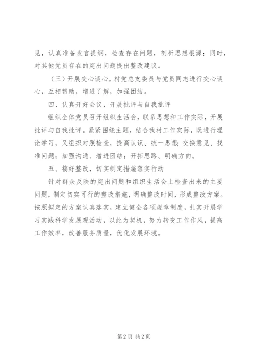 村主题式党的组织生活工作方案.docx