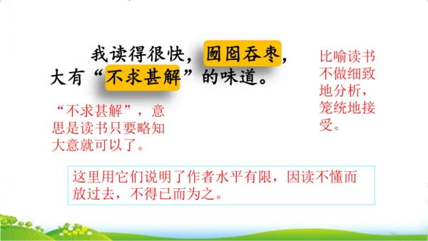 27 我的“长生果“   课件