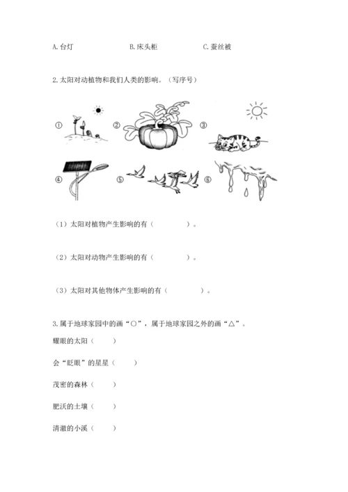 教科版小学二年级上册科学期末测试卷【考点精练】.docx