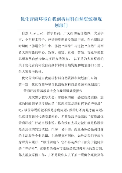 优化营商环境自我剖析材料自然资源和规划部门