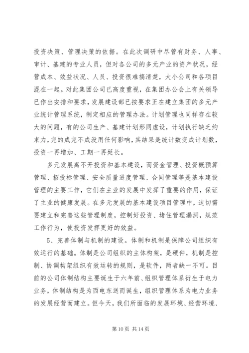 多元产业调研报告.docx