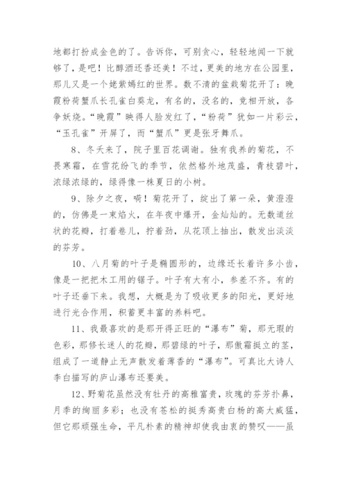写菊花的优美句子.docx