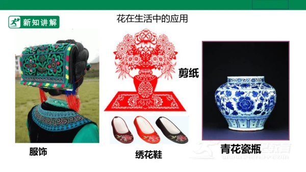 第十六课《生活与艺术中的花》课件（26页PPT）