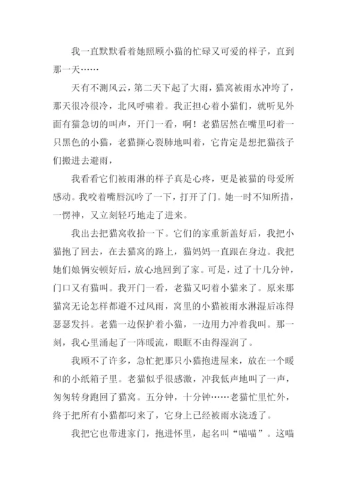 不一样的感动作文1000字.docx