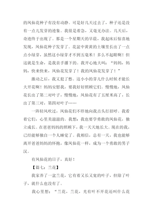 描写一朵花的作文.docx