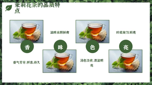 茉莉花茶满墙绿色植物通用PPT模板