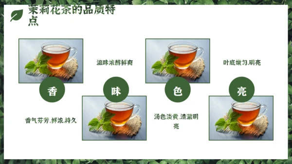 茉莉花茶满墙绿色植物通用PPT模板
