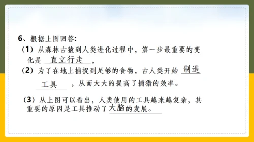人类的起源和进化生物课通用PPT课件