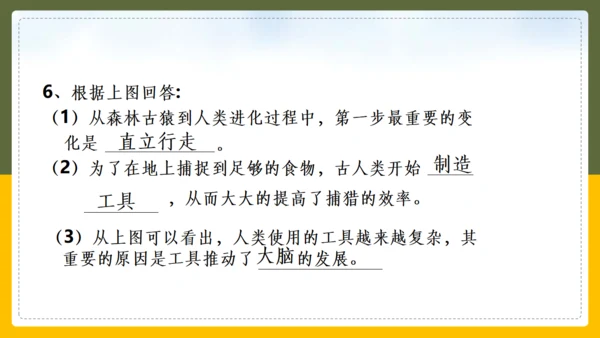 人类的起源和进化生物课通用PPT课件