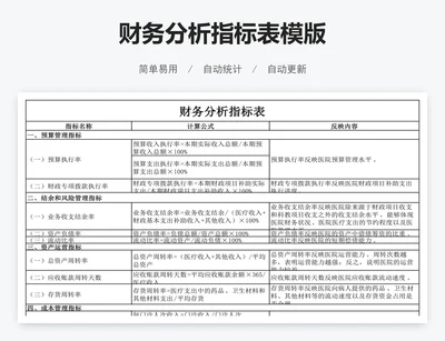财务分析指标表模版