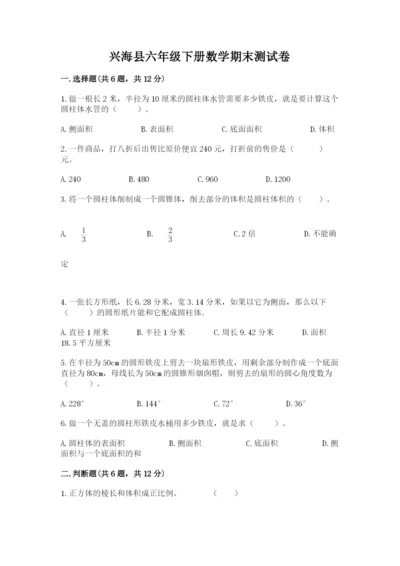 兴海县六年级下册数学期末测试卷（精选题）.docx
