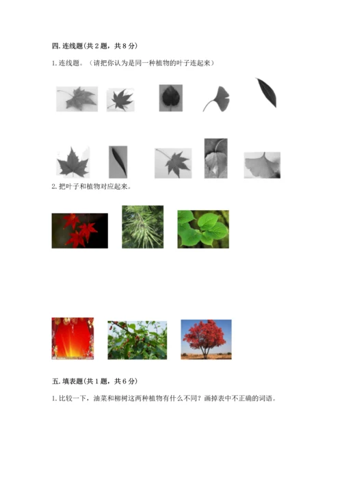 教科版科学一年级上册第一单元《植物》测试卷及参考答案【突破训练】.docx