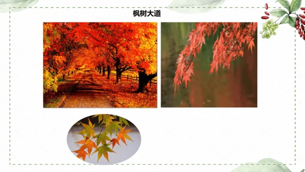 5 《铺满巴掌的水泥道》仿写指导课件