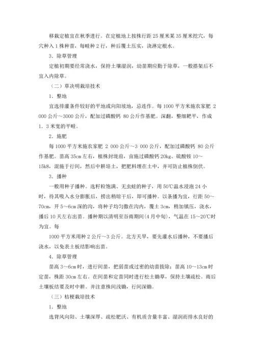 有关学生实习报告模板汇总8篇.docx