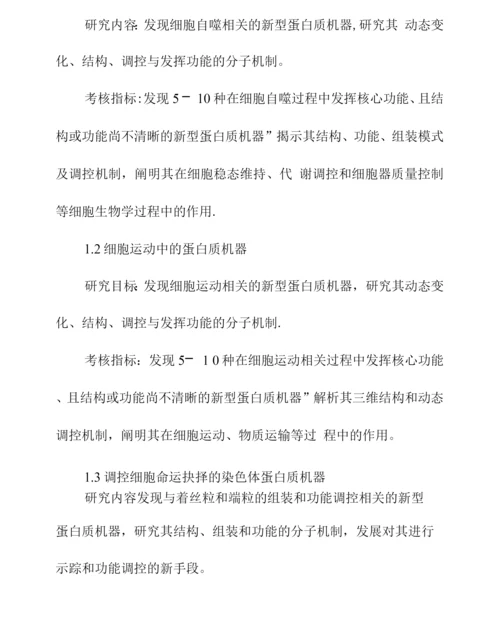 国家重点研发计划重点专项实施方案.docx