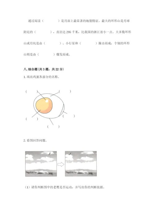 教科版科学三年级下册期末测试卷精品【名师系列】.docx
