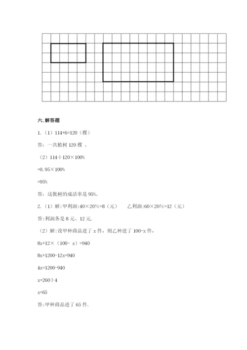 小升初六年级期末试卷（巩固）.docx
