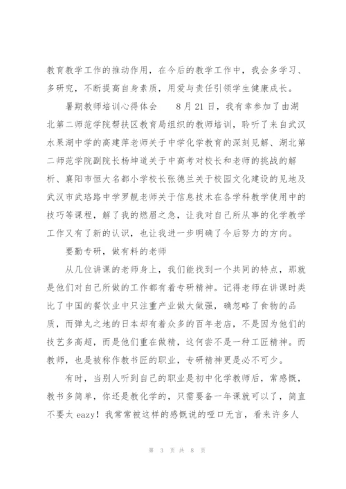 暑期教师培训心得体会.docx