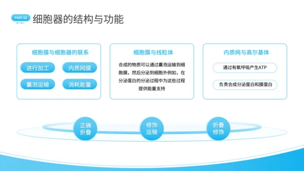 蓝色简约风细胞结构探秘PPT