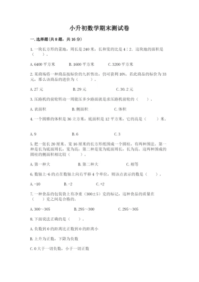 小升初数学期末测试卷精品（巩固）.docx