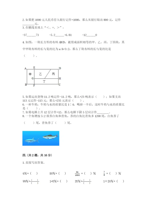 河南省平顶山市六年级下册数学期末考试试卷含答案（培优b卷）.docx