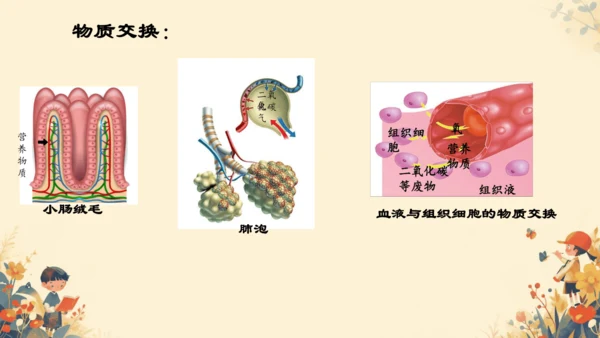 初中生物学[期末专区]七年级下册第四章和第五章复习课件(共39张PPT)