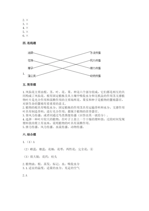 教科版科学四年级下册第一单元《植物的生长变化》测试卷（含答案）.docx