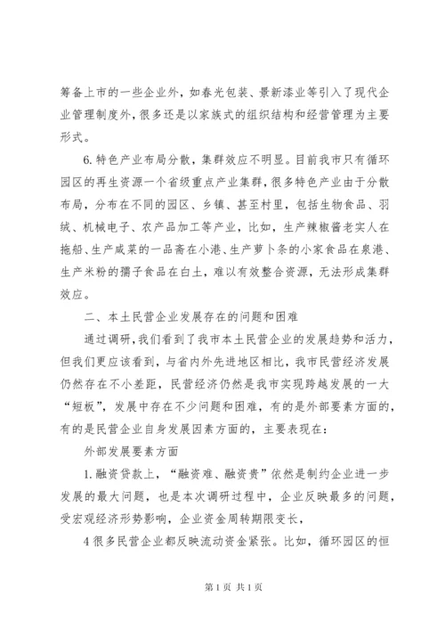 民营经济调研报告.docx